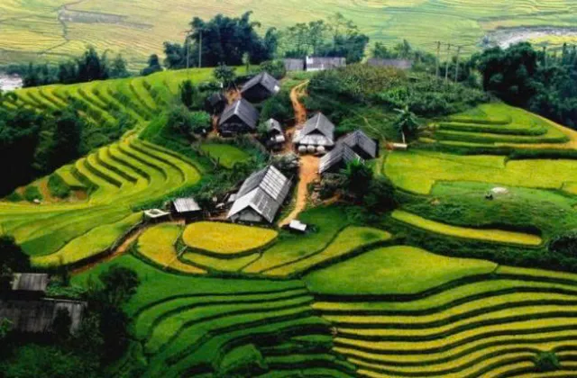 Ngày 2: NGHĨA LỘ - MÙ CANG CHẢI (Ăn Sáng, Trưa, Tối )