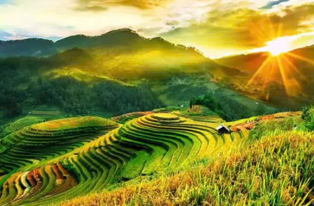 Ngày 3: MÙ CANG CHẢI - TÚ LỆ - HÀ NỘI (Ăn Sáng ,Trưa )