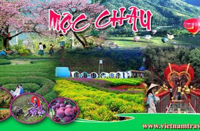 Ngày 5: MỘC CHÂU - MAI CHÂU - HÀ NỘI (ĂN SÁNG, TRƯA )