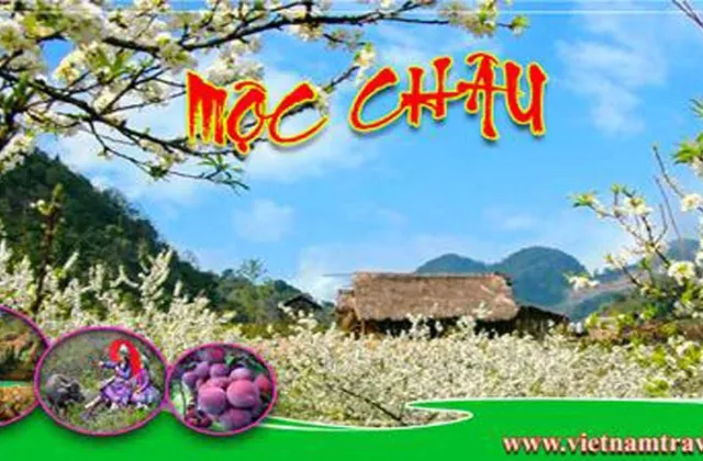 Ngày 4: ĐIỆN BIÊN – MỘC CHÂU – CẦU KÍNH BẠCH LONG (ĂN SÁNG, TRƯA, TỐI)
