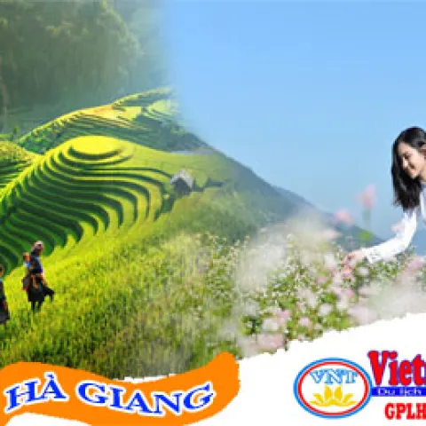 Ho Chi Minh Hanoi – Ha Giang – Buckwheat Flower Season