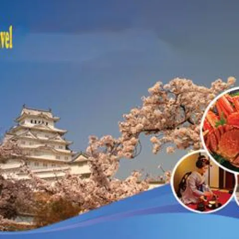 Hanoi - Japan - Osaka - Kyoto - Mount Fuji - Tokyo - Narita - 5 Days 5 Nights JPSGT5