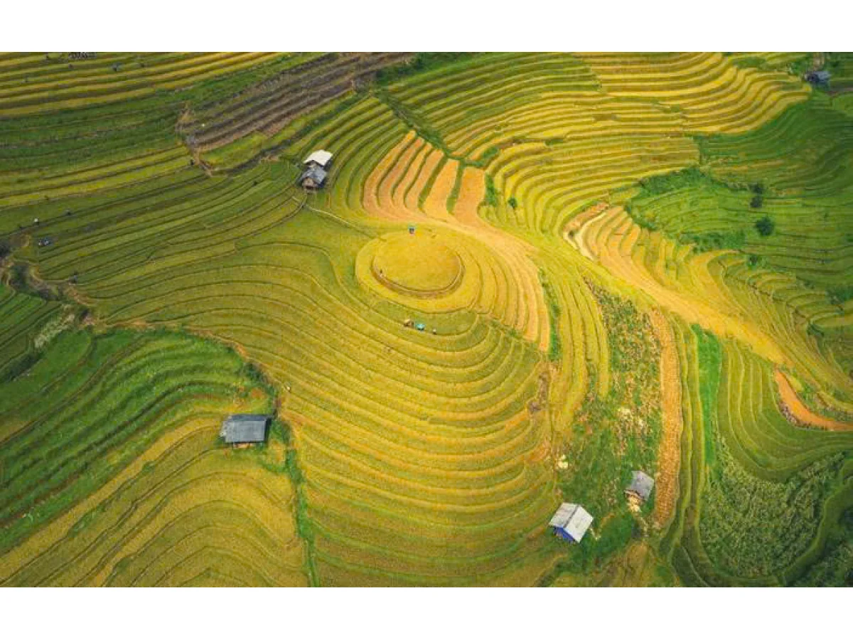 Hà Nội - Trạm Tấu - Mù Cang Chải - Đèo Khau Phạ - Tú Lệ - Trạm Tấu 3 Ngày 2 Đêm